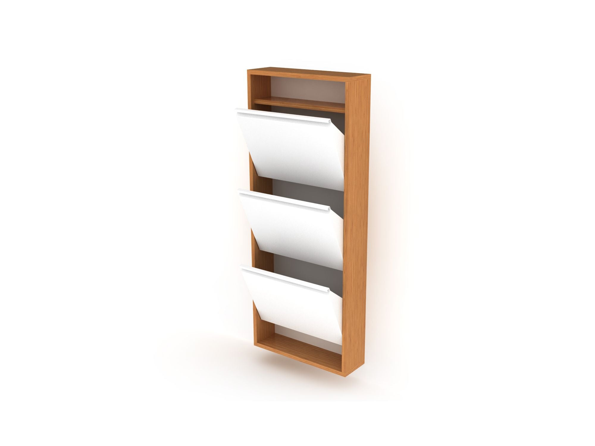 Hide Shoe Case