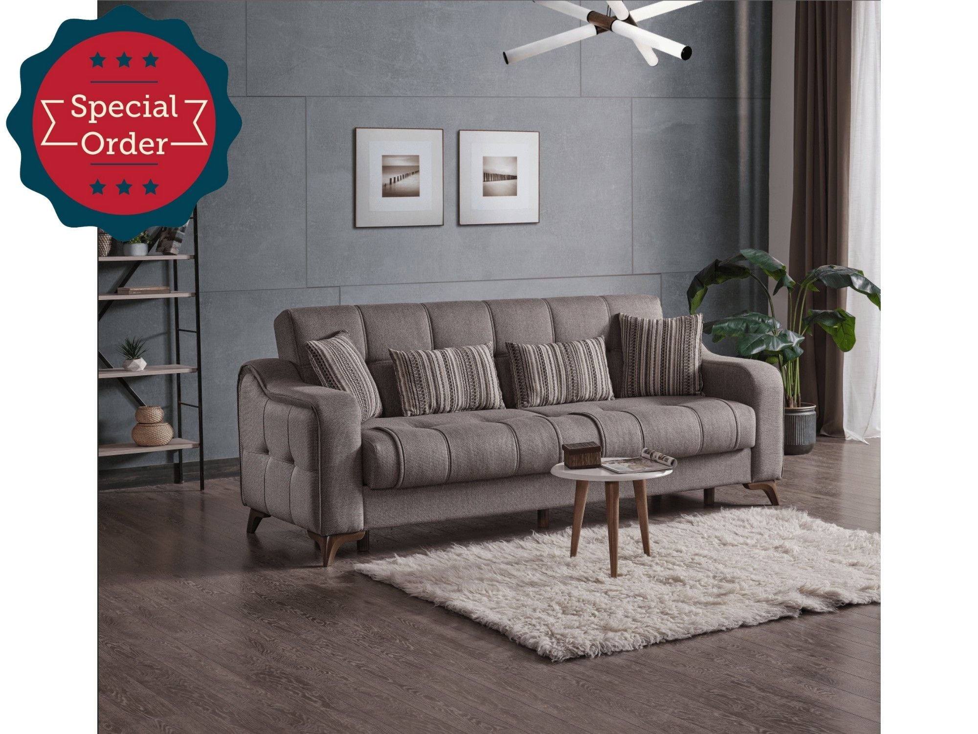 Manyas Convertible Sofa